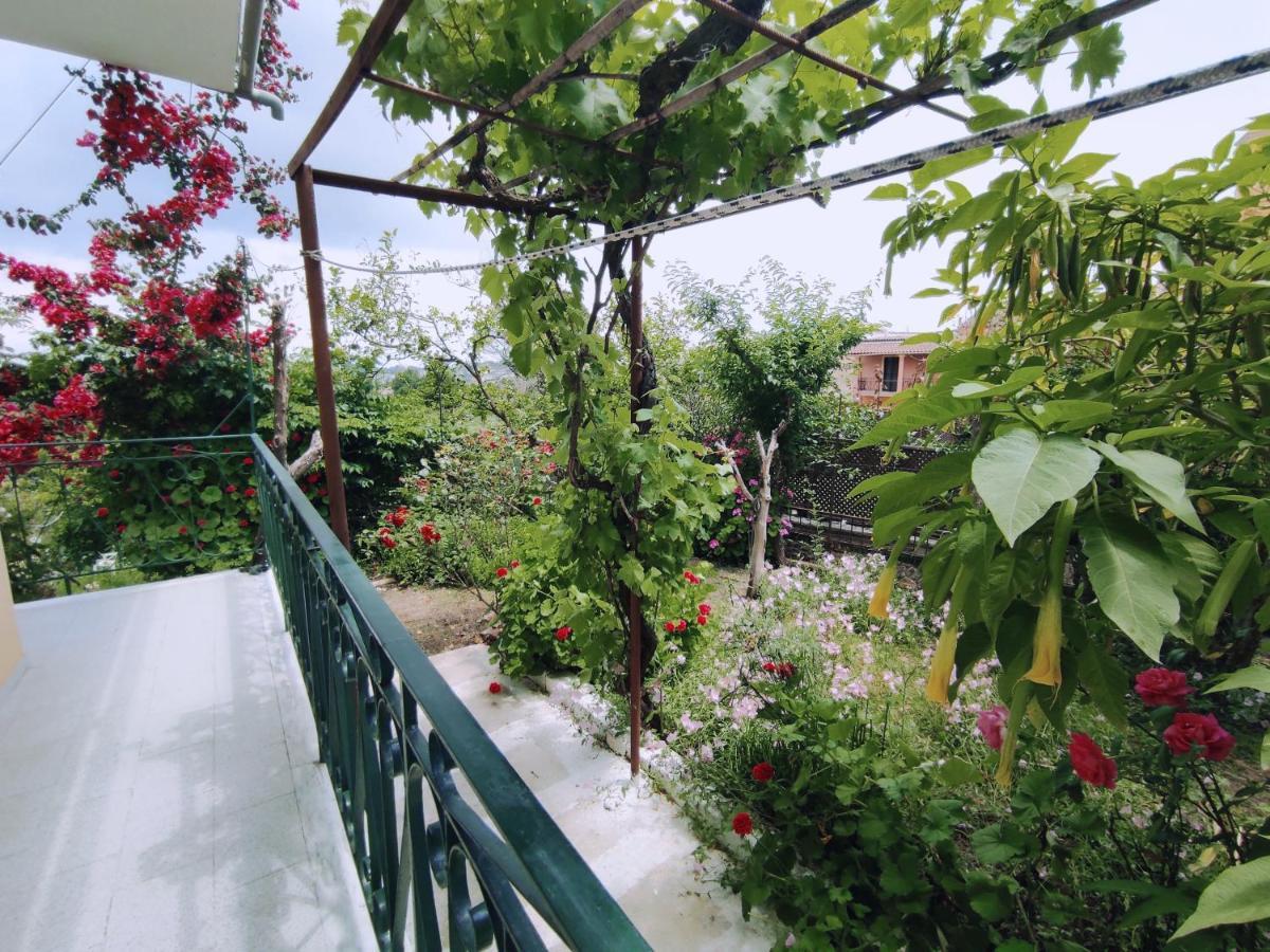 Corfu Countryside Apartment Pótamosz Kültér fotó